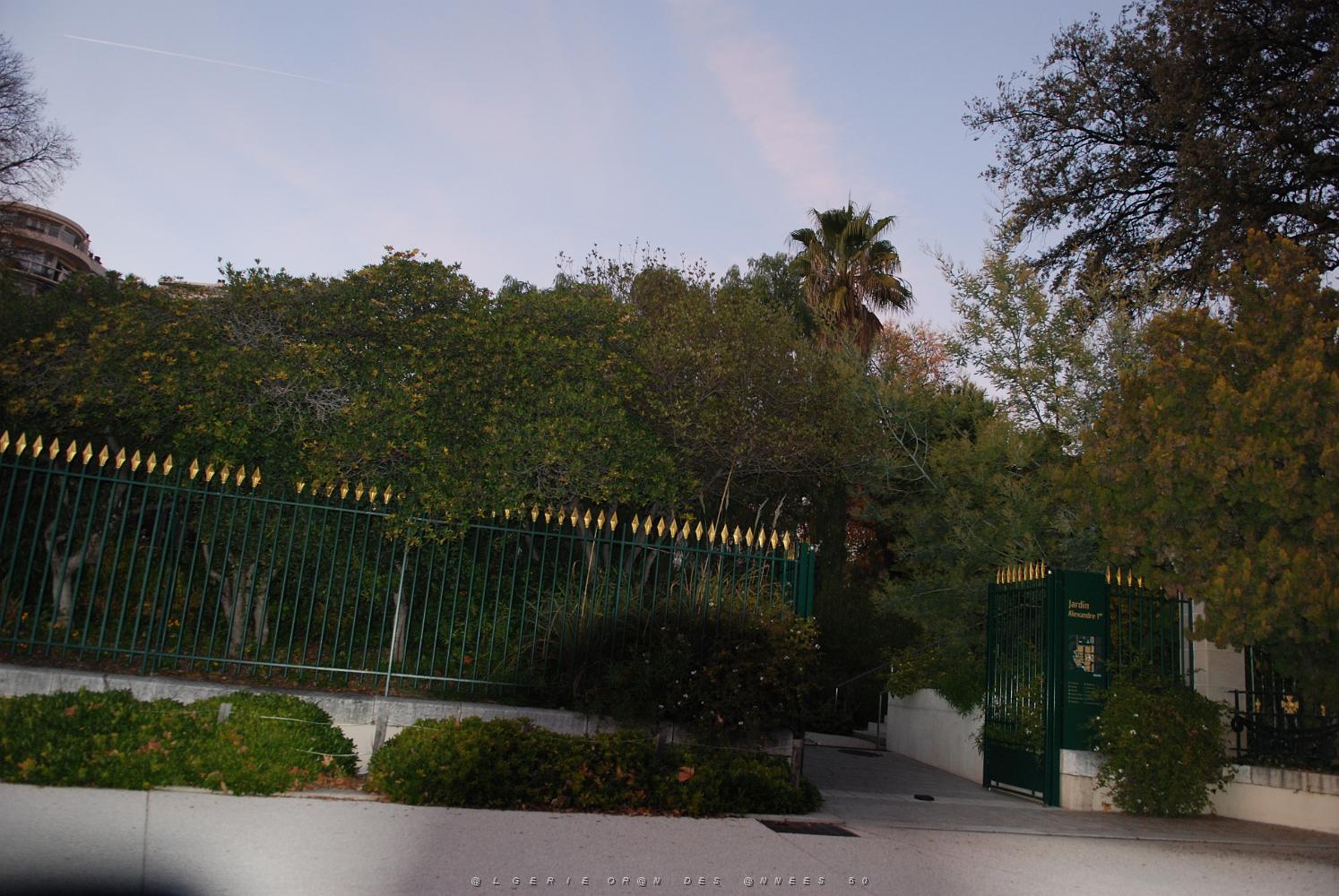 1 Toulon Jardin Alexandre 1er.JPG - ?PHILIPPE JORE